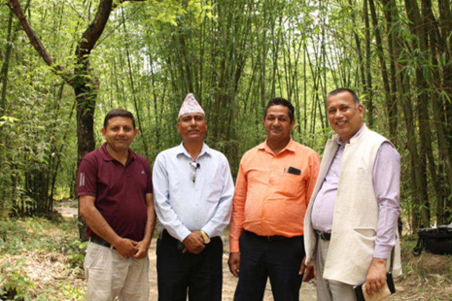 Embracing Nature’s Resilience: Cultivating a Thriving Bamboo Ecosystem in Nepal